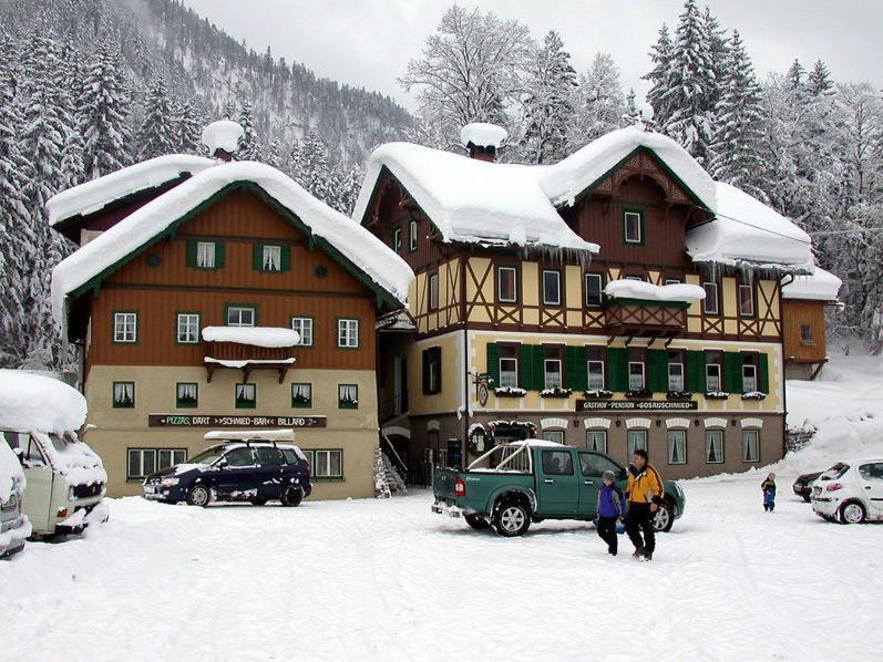 Jugendgaestehaus Gosauschmied Bagian luar foto